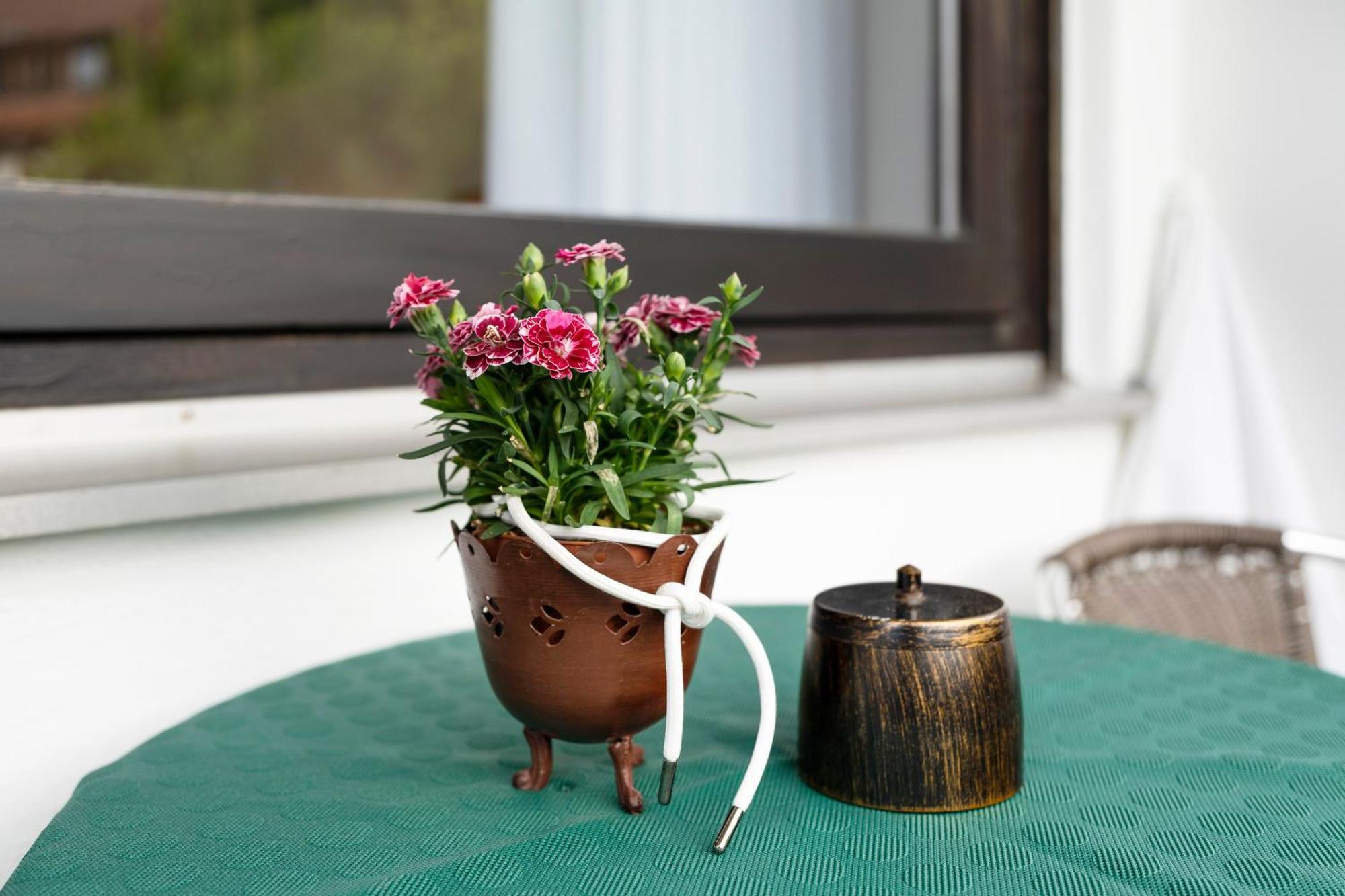 フロイデンシュタットHaus Seilerアパートメント エクステリア 写真