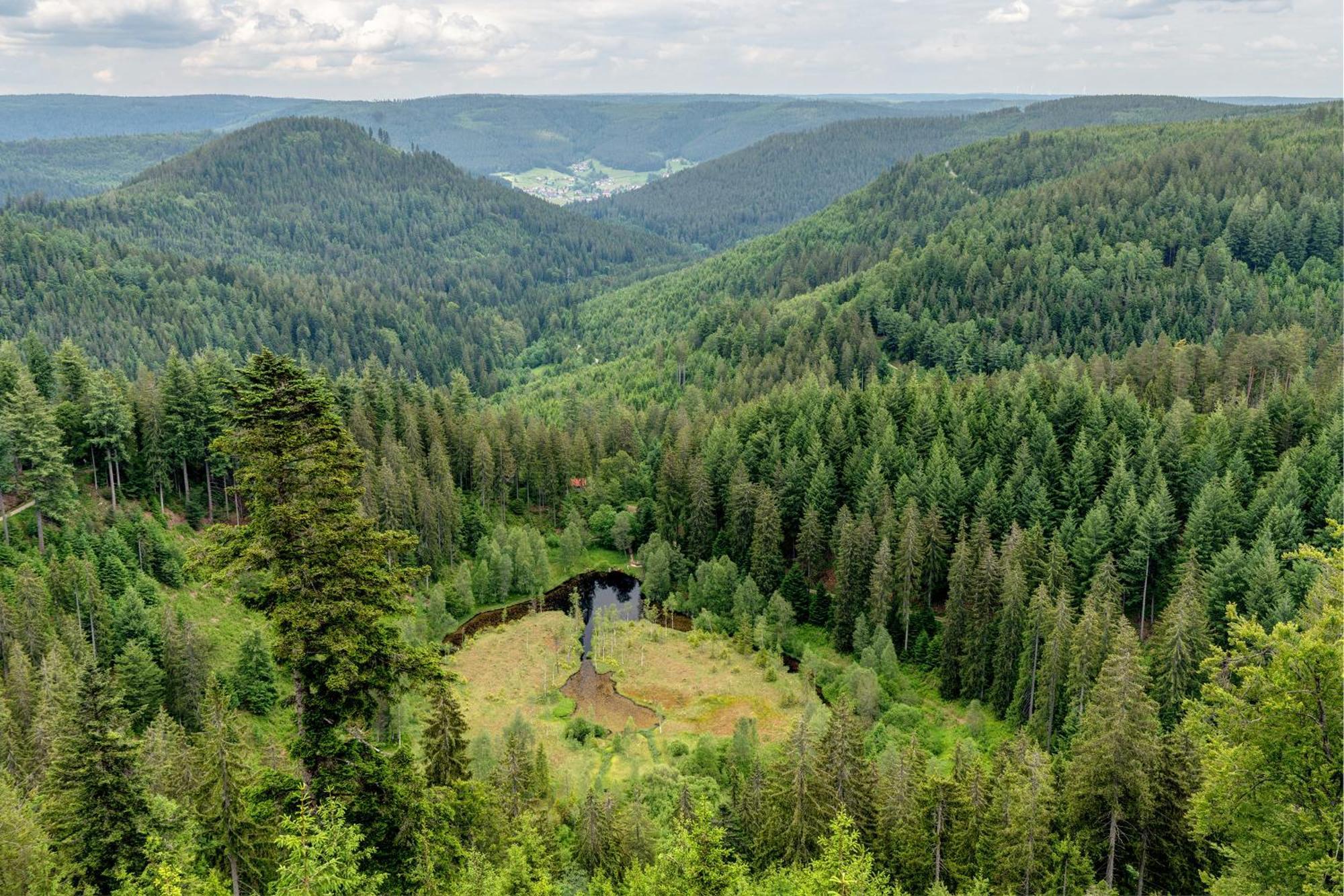 フロイデンシュタットHaus Seilerアパートメント エクステリア 写真